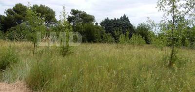 Terrain à Bagard en Gard (30) de 2000 m² à vendre au prix de 160500€ - 4