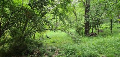 Terrain à Foulayronnes en Lot-et-Garonne (47) de 1900 m² à vendre au prix de 24000€ - 1