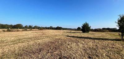 Terrain à Marigny en Allier (03) de 2100 m² à vendre au prix de 48990€ - 2