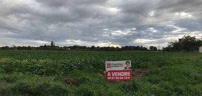 Terrain à Beaulieu-sur-Loire en Loiret (45) de 2390 m² à vendre au prix de 22000€ - 4