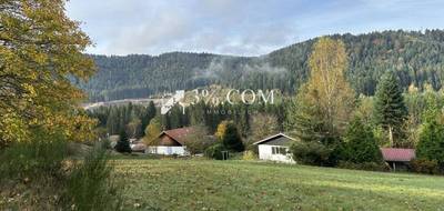 Terrain à Gérardmer en Vosges (88) de 1800 m² à vendre au prix de 85400€ - 3