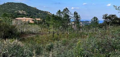 Terrain à Sari-Solenzara en Corse-du-Sud (2A) de 6000 m² à vendre au prix de 540000€ - 2