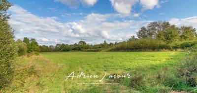 Terrain à Romorantin-Lanthenay en Loir-et-Cher (41) de 10089 m² à vendre au prix de 93990€ - 3