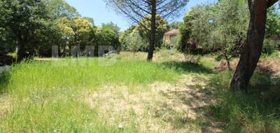 Terrain à Saint-Hippolyte-du-Fort en Gard (30) de 682 m² à vendre au prix de 94000€ - 1