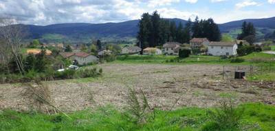 Terrain à Noirétable en Loire (42) de 1327 m² à vendre au prix de 40000€ - 1