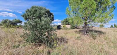 Terrain à Pouzolles en Hérault (34) de 6370 m² à vendre au prix de 19500€ - 4