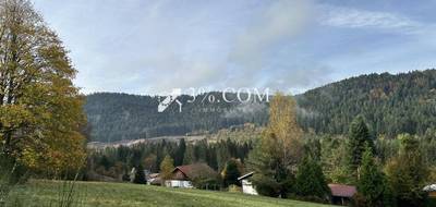 Terrain à Gérardmer en Vosges (88) de 1800 m² à vendre au prix de 85400€ - 4