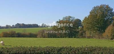 Terrain à Ciral en Orne (61) de 5152 m² à vendre au prix de 29000€ - 3