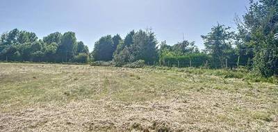 Terrain à Vaas en Sarthe (72) de 2500 m² à vendre au prix de 25000€ - 2