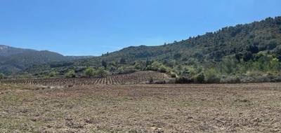 Terrain à Sigean en Aude (11) de 3163 m² à vendre au prix de 125000€ - 3