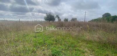 Terrain à Pussay en Essonne (91) de 738 m² à vendre au prix de 41990€ - 3