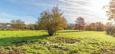 Terrain à Romorantin-Lanthenay en Loir-et-Cher (41) de 4077 m² à vendre au prix de 59990€ - 3