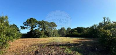 Terrain à Arvert en Charente-Maritime (17) de 2880 m² à vendre au prix de 29000€ - 1