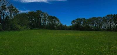 Terrain à Cœur de Causse en Lot (46) de 3348 m² à vendre au prix de 35000€ - 4