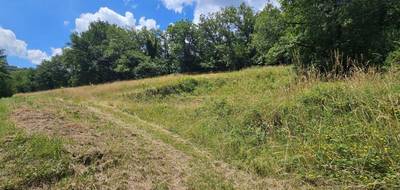 Terrain à Belcastel en Aveyron (12) de 4450 m² à vendre au prix de 39500€ - 1