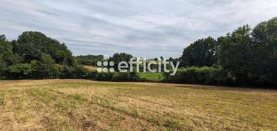 Terrain à Ruffec en Charente (16) de 3590 m² à vendre au prix de 30800€ - 2