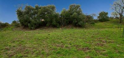 Terrain à Caunes-Minervois en Aude (11) de 1600 m² à vendre au prix de 80000€ - 3