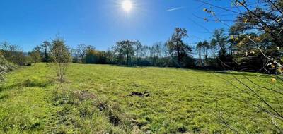 Terrain à Sainte-Marguerite en Vosges (88) de 11900 m² à vendre au prix de 59000€ - 3