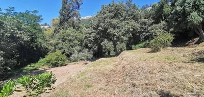 Terrain à Vence en Alpes-Maritimes (06) de 3090 m² à vendre au prix de 360000€ - 3