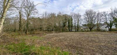 Terrain à Férel en Morbihan (56) de 1168 m² à vendre au prix de 179500€ - 1