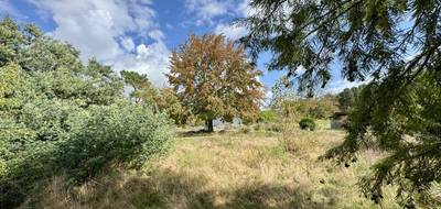 Terrain à Pessac en Gironde (33) de 2000 m² à vendre au prix de 350000€ - 3