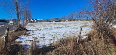 Terrain à Saint-Flour en Cantal (15) de 10540 m² à vendre au prix de 63240€ - 1