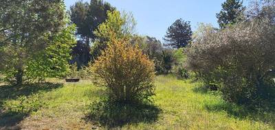 Terrain à Mazan en Vaucluse (84) de 1285 m² à vendre au prix de 169900€ - 1