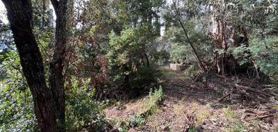 Terrain à Roquebrune-sur-Argens en Var (83) de 1630 m² à vendre au prix de 890000€ - 3