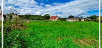 Terrain à Champoux en Doubs (25) de 1132 m² à vendre au prix de 85000€ - 2