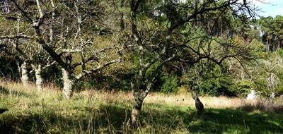 Terrain à Aubenas en Ardèche (07) de 4806 m² à vendre au prix de 147000€ - 4