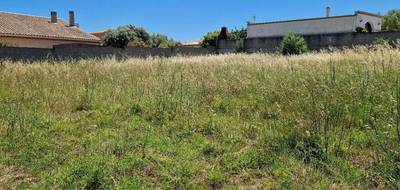 Terrain à Adissan en Hérault (34) de 700 m² à vendre au prix de 168000€ - 1