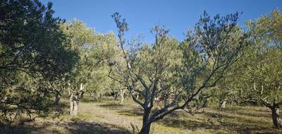 Terrain à Limoux en Aude (11) de 13000 m² à vendre au prix de 130000€ - 3