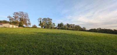 Terrain à Saint-Christophe en Allier (03) de 5782 m² à vendre au prix de 43000€ - 3