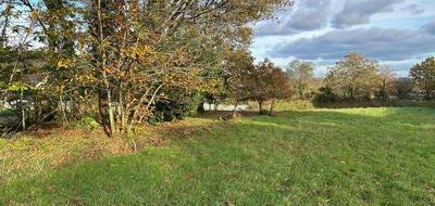 Terrain à Rieux en Morbihan (56) de 1351 m² à vendre au prix de 37622€ - 4