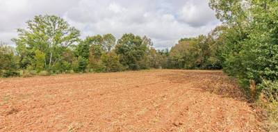 Terrain à Cherveix-Cubas en Dordogne (24) de 5070 m² à vendre au prix de 26000€ - 3