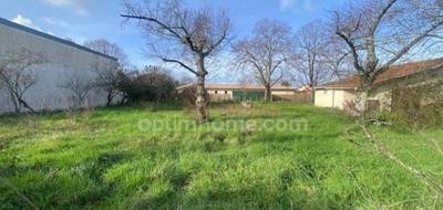 Terrain à Gujan-Mestras en Gironde (33) de 611 m² à vendre au prix de 336000€ - 3