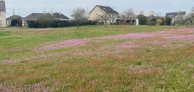 Terrain à Champagné en Sarthe (72) de 2675 m² à vendre au prix de 188000€ - 2