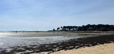 Terrain à Saint-Philibert en Morbihan (56) de 958 m² à vendre au prix de 230000€ - 2