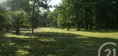 Terrain à Saint-Vivien-de-Médoc en Gironde (33) de 3960 m² à vendre au prix de 109300€ - 1