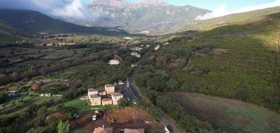 Terrain à Pietracorbara en Haute-Corse (2B) de 1400 m² à vendre au prix de 330000€ - 3