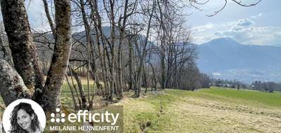 Terrain à Saint-Sigismond en Haute-Savoie (74) de 2156 m² à vendre au prix de 550000€ - 3