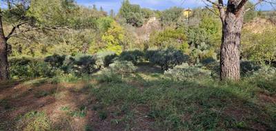 Terrain à Fontès en Hérault (34) de 4250 m² à vendre au prix de 231000€ - 2