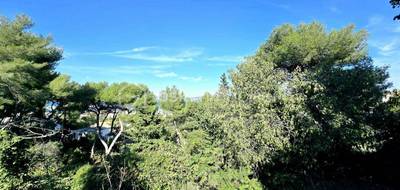 Terrain à Sète en Hérault (34) de 2887 m² à vendre au prix de 790000€ - 4