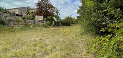 Terrain à Barjac en Gard (30) de 1000 m² à vendre au prix de 77000€ - 4