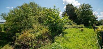 Terrain à Plouhinec en Morbihan (56) de 750 m² à vendre au prix de 34000€ - 4