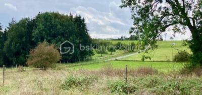 Terrain à Charleville-Mézières en Ardennes (08) de 977 m² à vendre au prix de 29000€ - 4