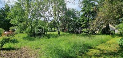 Terrain à Cheillé en Indre-et-Loire (37) de 965 m² à vendre au prix de 102500€ - 1