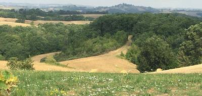 Terrain à Castéra-Vignoles en Haute-Garonne (31) de 2500 m² à vendre au prix de 36000€ - 1