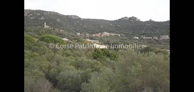 Terrain à Figari en Corse-du-Sud (2A) de 1820 m² à vendre au prix de 212000€ - 2