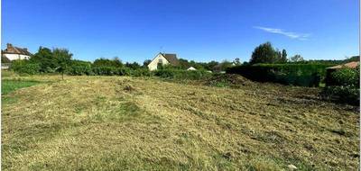 Terrain à Malay-le-Petit en Yonne (89) de 1409 m² à vendre au prix de 50000€ - 3